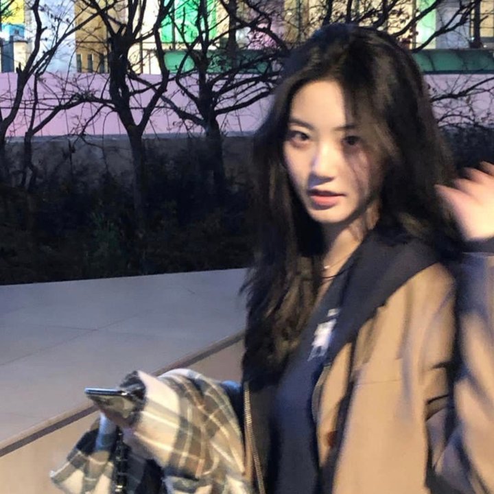 阿妮卡